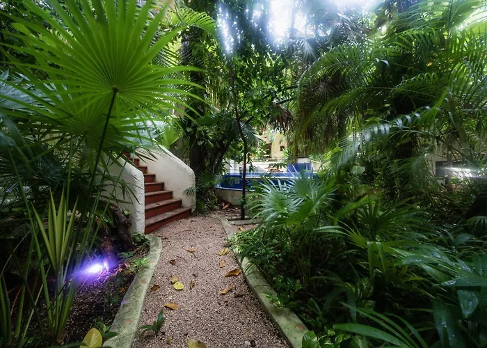 Hidden Cenote Sanctuary Sacbe - 2br On 5th Ave *