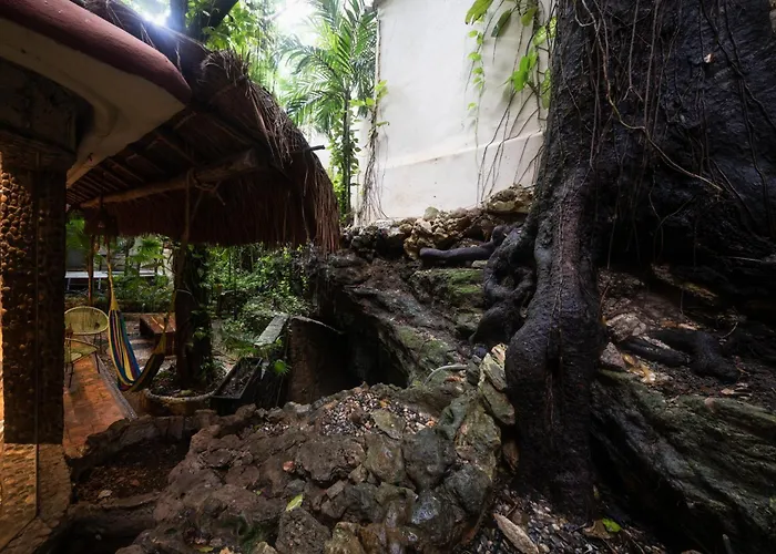 Hidden Cenote Sanctuary Sacbe - 2br On 5th Ave