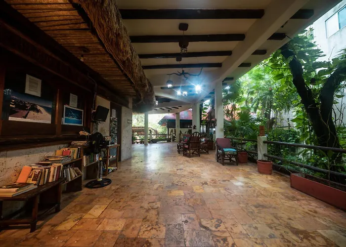 Hidden Cenote Sanctuary Sacbe - 2br On 5th Ave Playa del Carmen